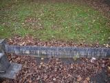 image of grave number 199236